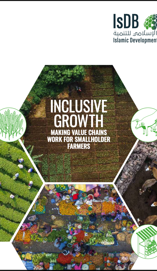 Publications - South-South Galaxy