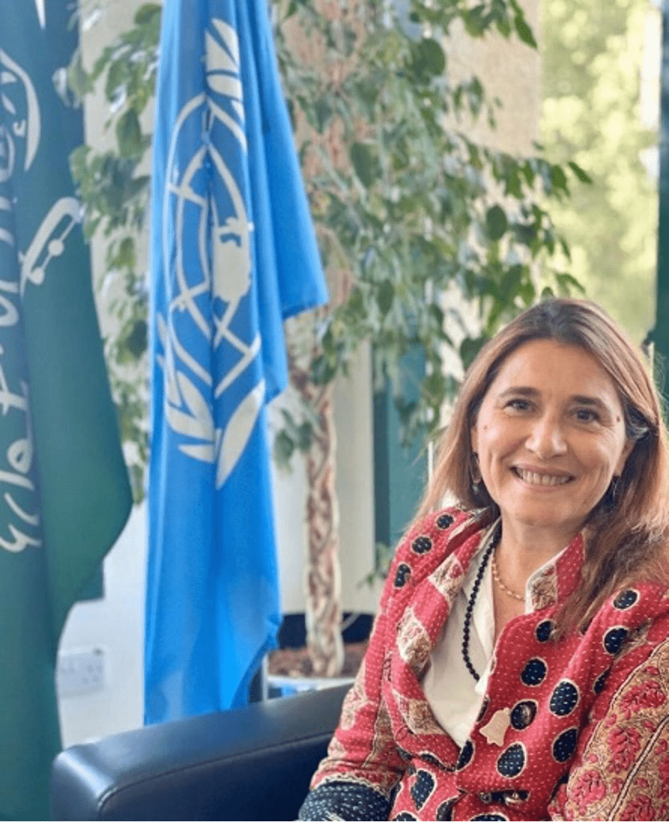south-south-champions-ms-nathalie-fustier-un-resident-coordinator
